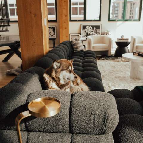 Quiet Moments™ Belia Signature Modular Sectional
