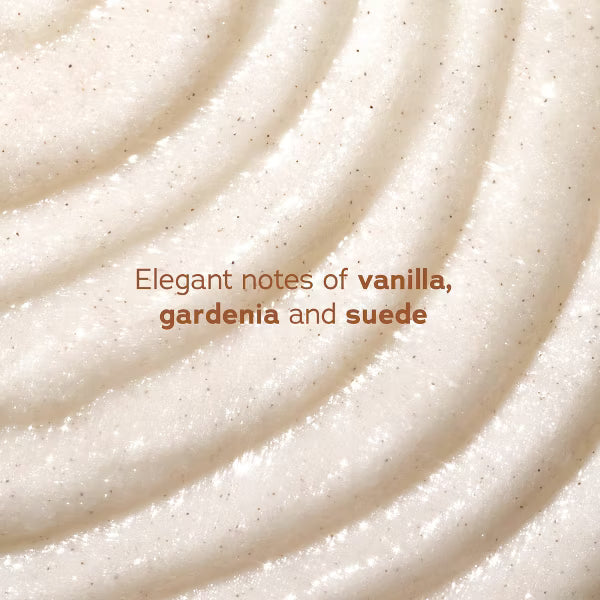 Quiet Moments™ Tree Hut Tahitian Vanilla Bean Shea Sugar Body Scrub 18oz – Hydrating Spa Self-Care Body Polish